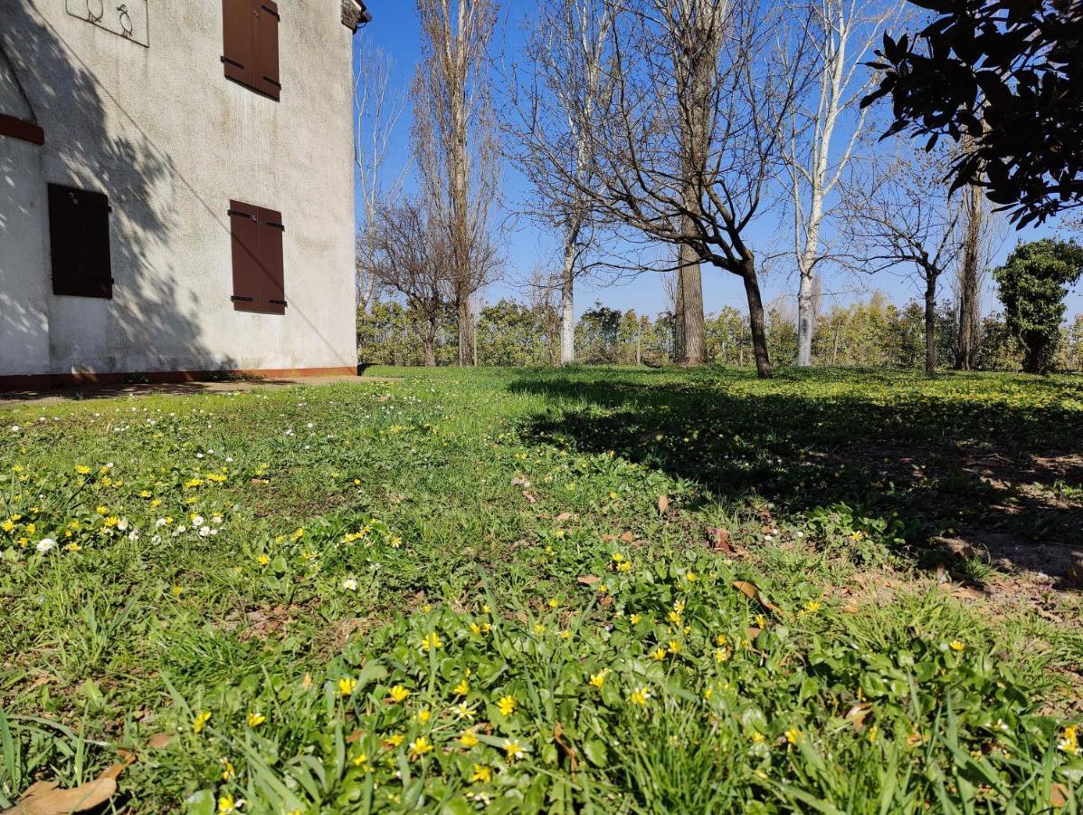 Ca Degli Aironi * Cittanova (Veneto)