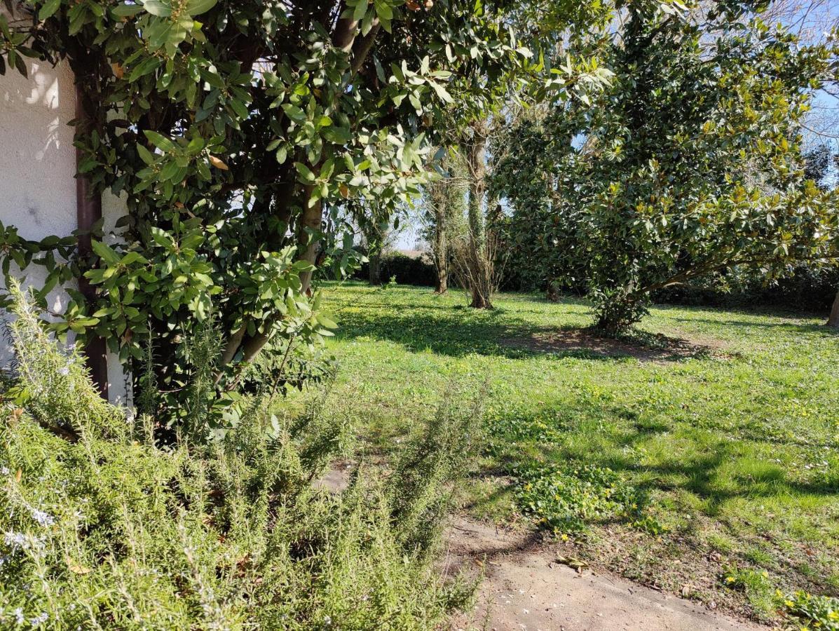 Ca Degli Aironi * Cittanova (Veneto)