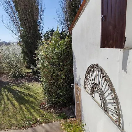 Ca Degli Aironi Villa Cittanova  Exterior photo